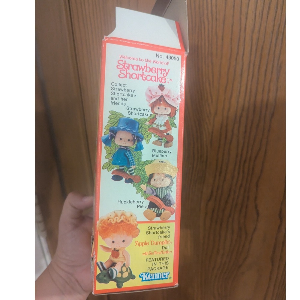 Vintage 1980 Strawberry Shortcake Apple Dumplin Doll w/ Box & Comb Kenner - Picture 13 of 16